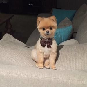 Meet your Posher, Sandra